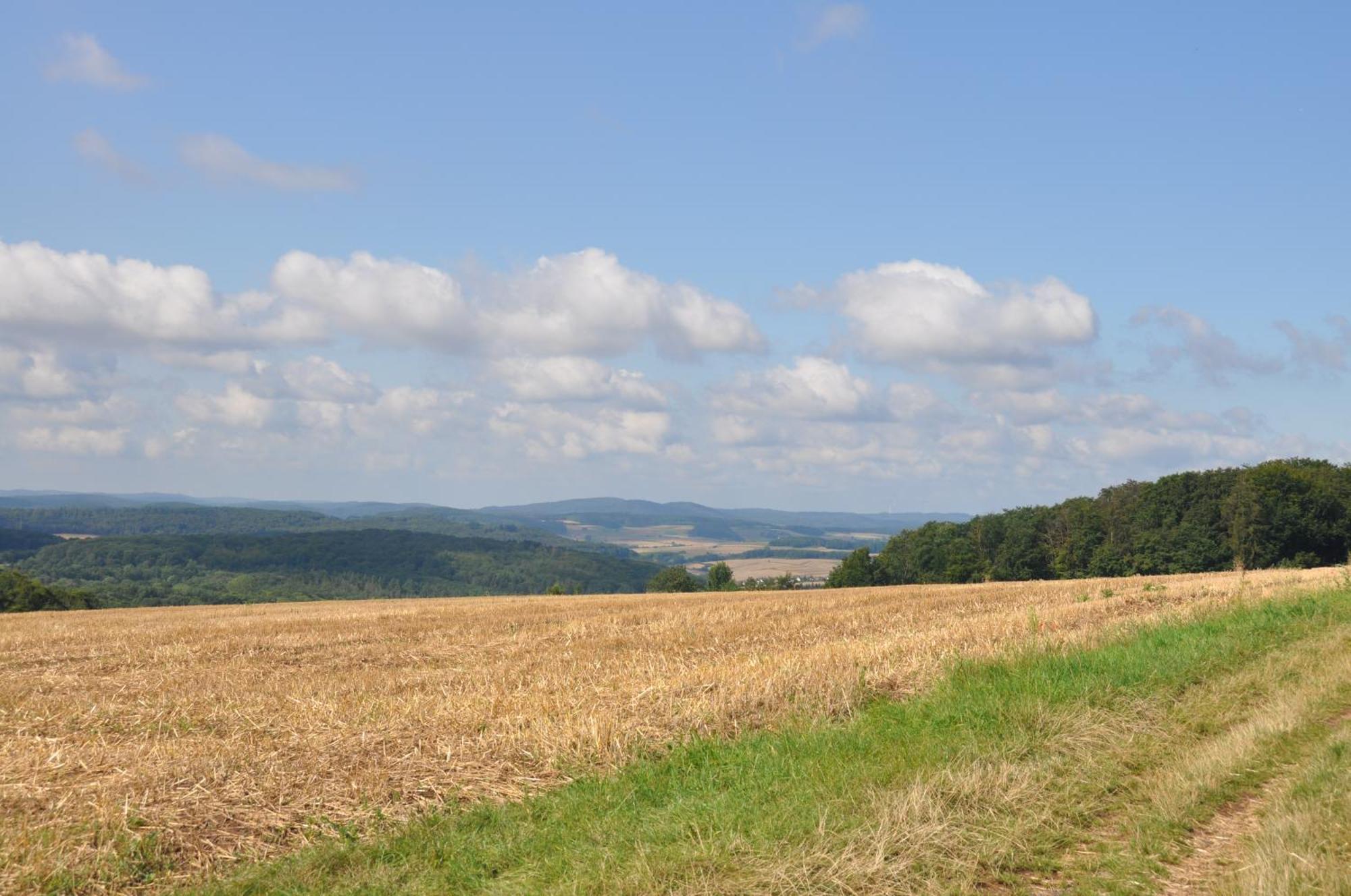 2-Zimmer Wohnung Mit Terrasse, Fernblick, Natur, Ruhig - Marburg Zewnętrze zdjęcie